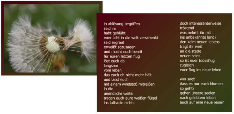 Im Blütenwunderland